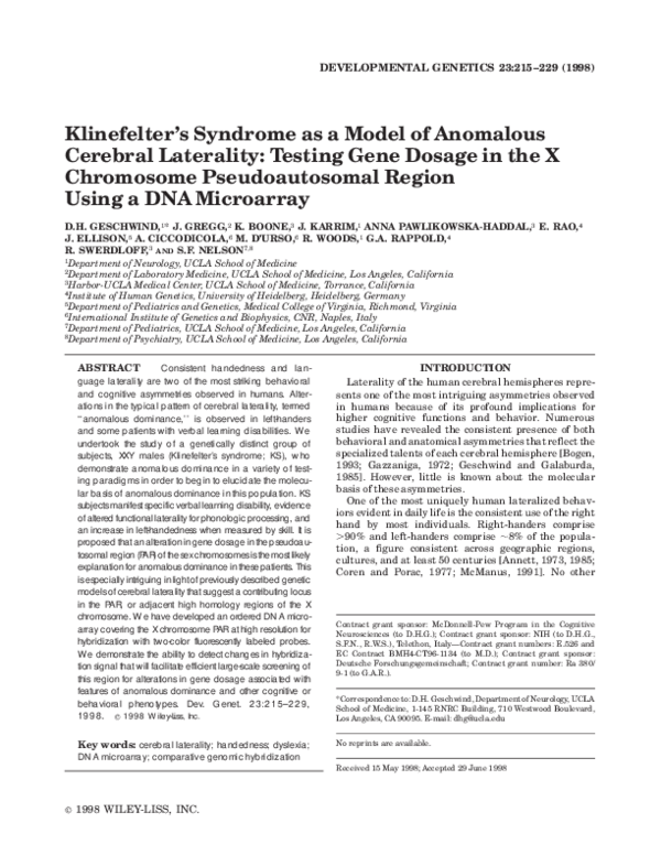 Can a person have xxy chromosomes picture