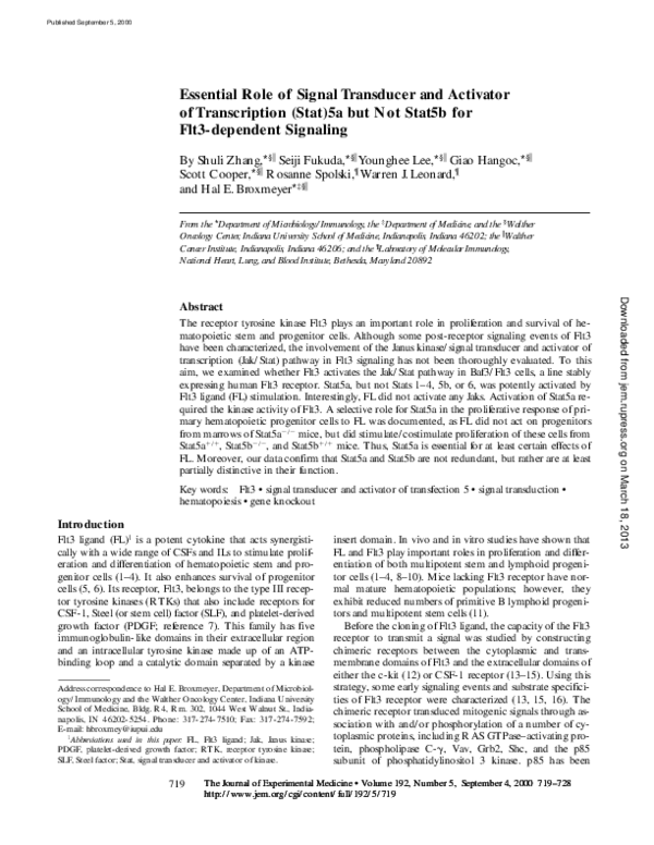 (PDF) Essential Role of Signal Transducer and Activator of
