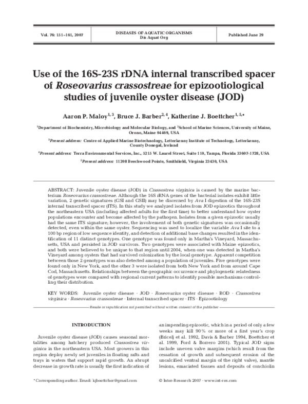 (PDF) Use of the 16S23S rDNA internal transcribed spacer of