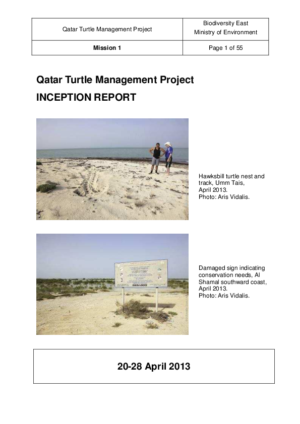 (PDF) Qatar Turtle Management Project: Inception report