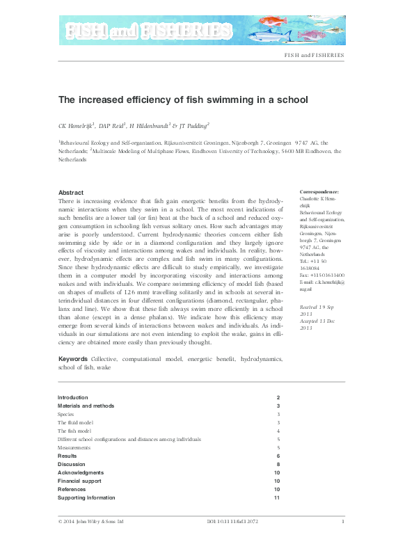 (PDF) The increased efficiency of fish swimming in a school