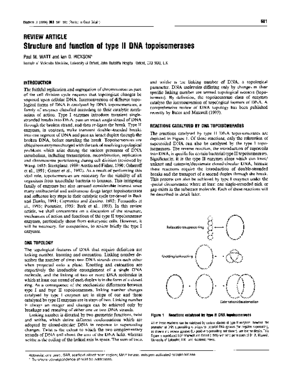(PDF) Structure and function of type II DNA topoisomerases