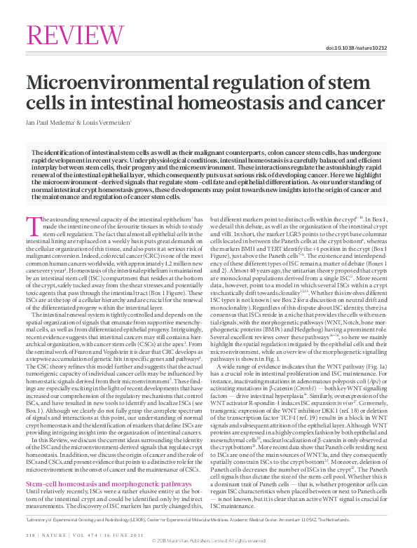 (PDF) Microenvironmental regulation of stem cells in intestinal ...