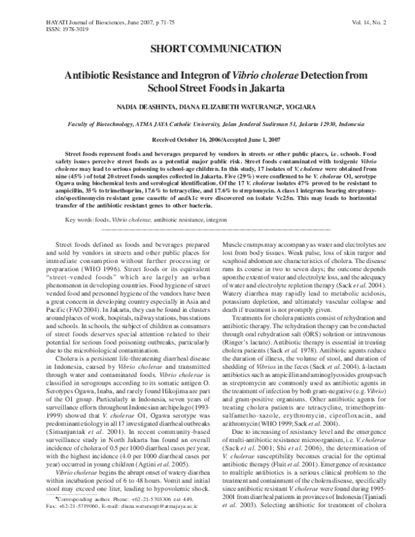 (PDF) Antibiotic Resistance and Integron of Vibrio Cholerae Detection ...