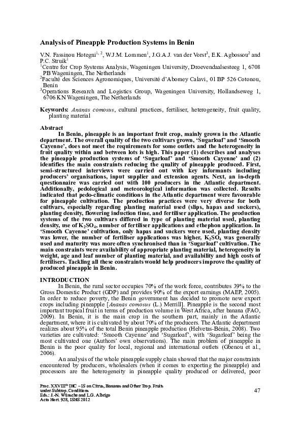 (PDF) ANALYSIS OF PINEAPPLE PRODUCTION SYSTEMS IN BENIN Paul Struik