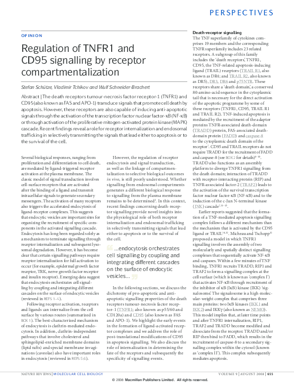 (PDF) Regulation of TNFR1 and CD95 signalling by receptor ...