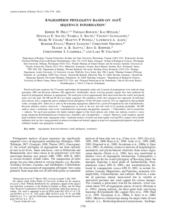(PDF) Angiosperm phylogeny base on matK sequence information