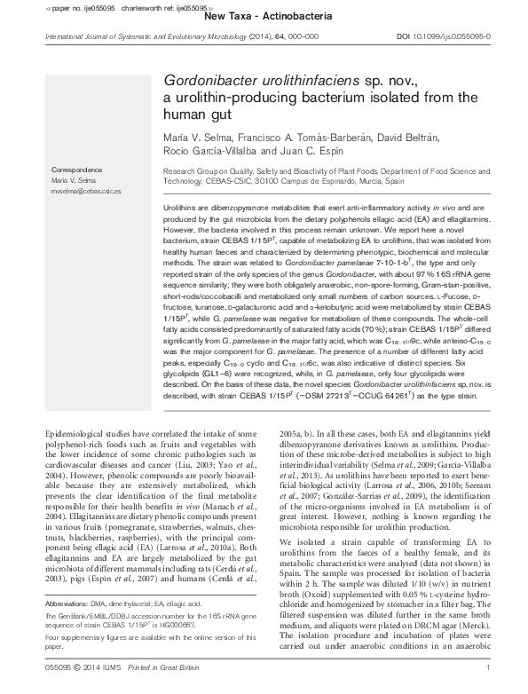 (PDF) Gordonibacter urolithinfaciens sp. nov., an urolithin-producing ...