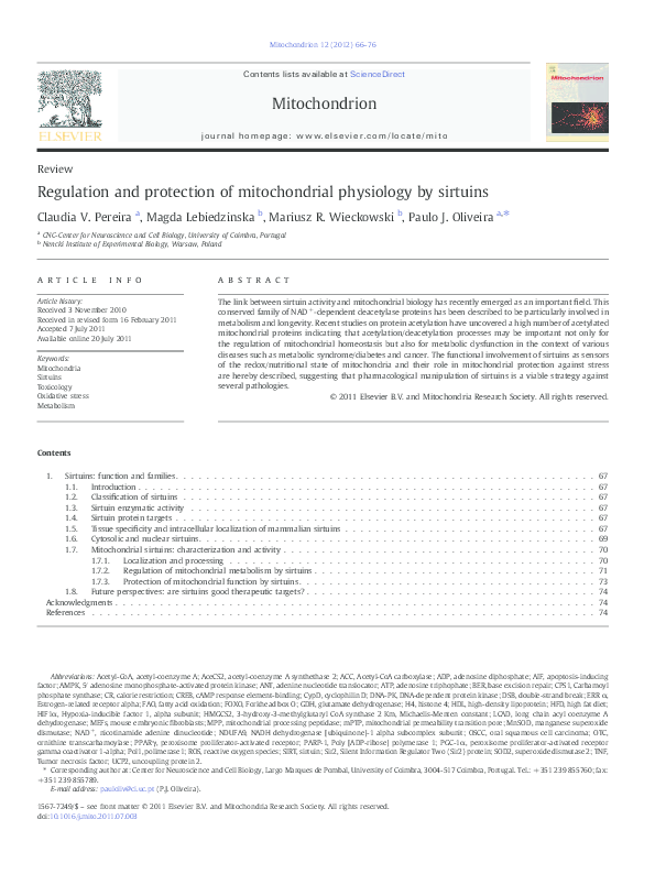 (PDF) Regulation and protection of mitochondrial physiology by sirtuins