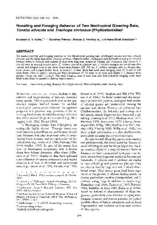 (PDF) Roosting and Foraging Behavior of Two Neotropical Gleaning Bats ...