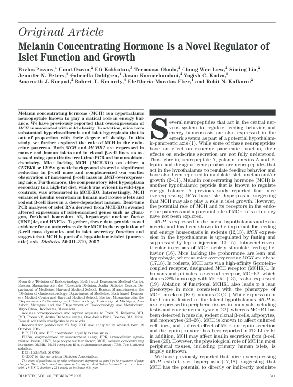 How to make essays longer picture