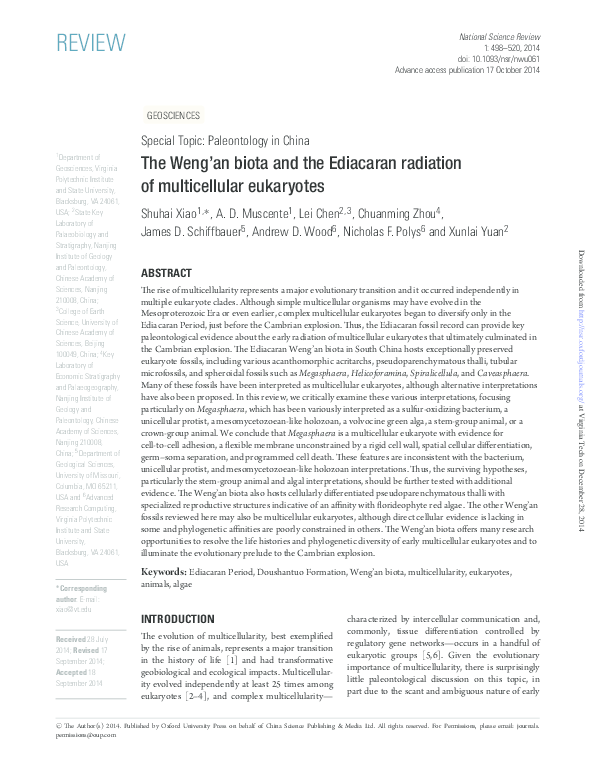 PDF) The Weng'an biota and the Ediacaran radiation of