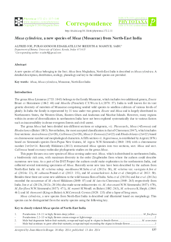 (PDF) Musa cylindrica, a new species of Musa (Musaceae) from North-East ...
