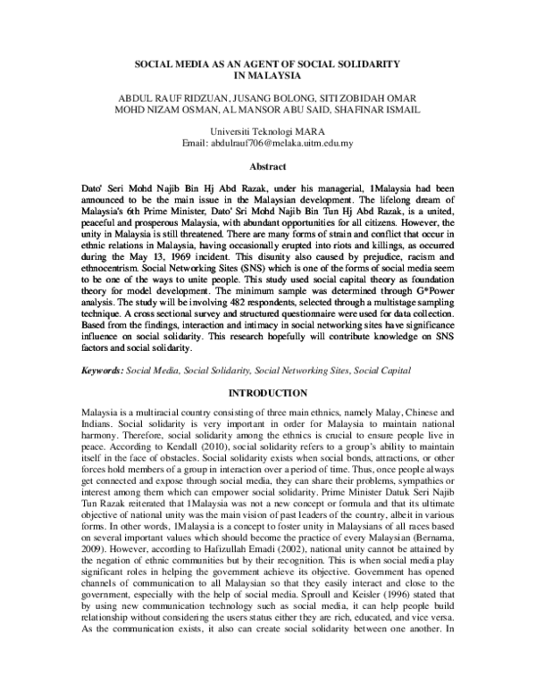 Social solidarity essay picture