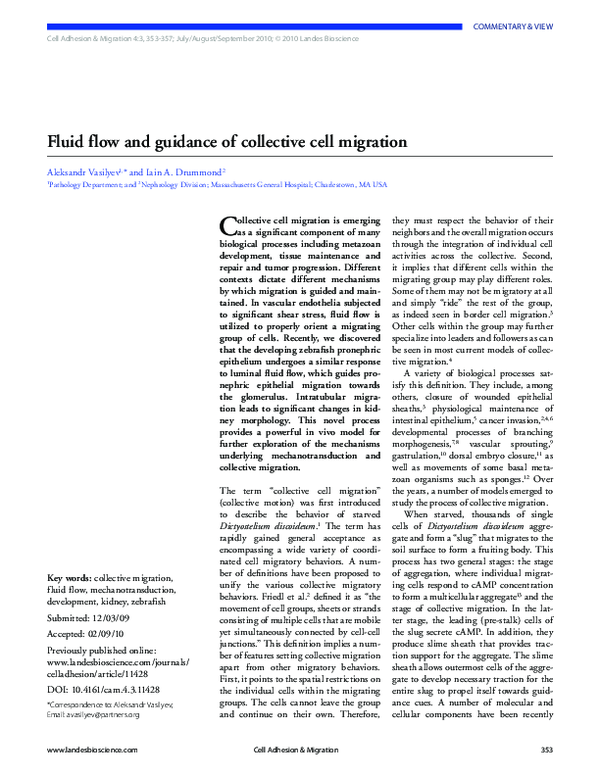 (PDF) Fluid flow and guidance of collective cell migration