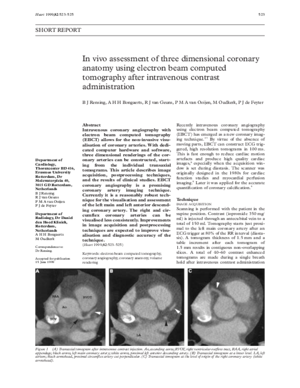 (PDF) In vivo assessment of three dimensional coronary anatomy using ...