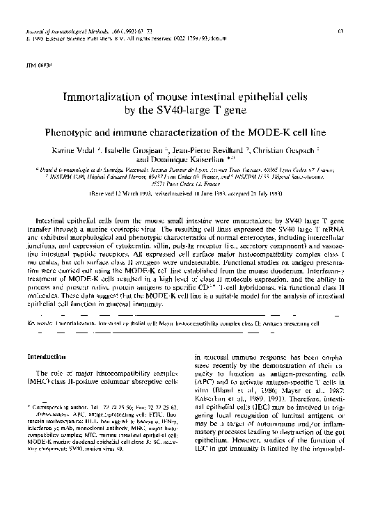 (PDF) Immortalization of mouse intestinal epithelial cells by the SV40 ...