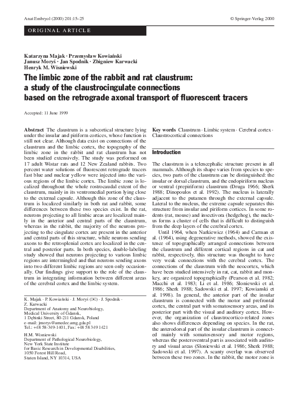 (PDF) The limbic zone of the rabbit and rat claustrum: a study of the ...