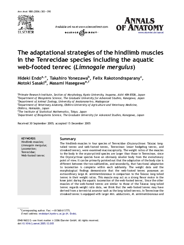 (PDF) The adaptational strategies of the hindlimb muscles in the ...