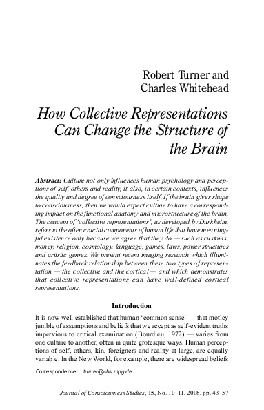 (PDF) Cultural Impact on Brain Structure and Consciousness