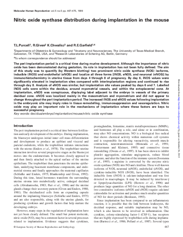 (PDF) Nitric oxide synthase distribution during implantation in the mouse