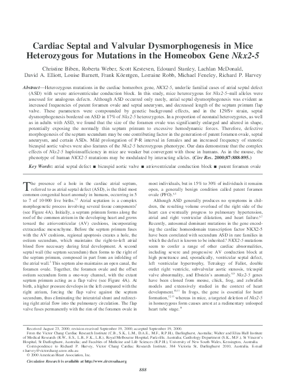 (PDF) Cardiac Septal and Valvular Dysmorphogenesis in Mice Heterozygous ...