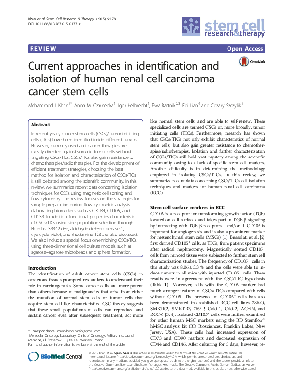(PDF) Current approaches in identification and isolation of human renal ...
