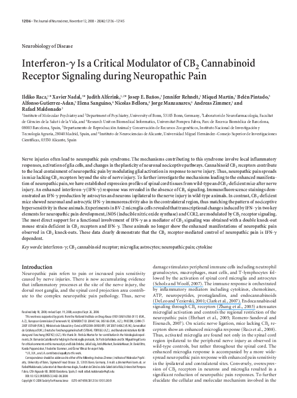 (PDF) Interferon- Is a Critical Modulator of CB2 Cannabinoid Receptor ...