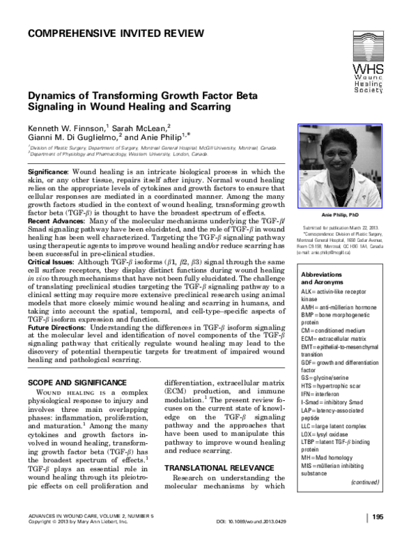 (PDF) Dynamics of Transforming Growth Factor Beta Signaling in Wound ...