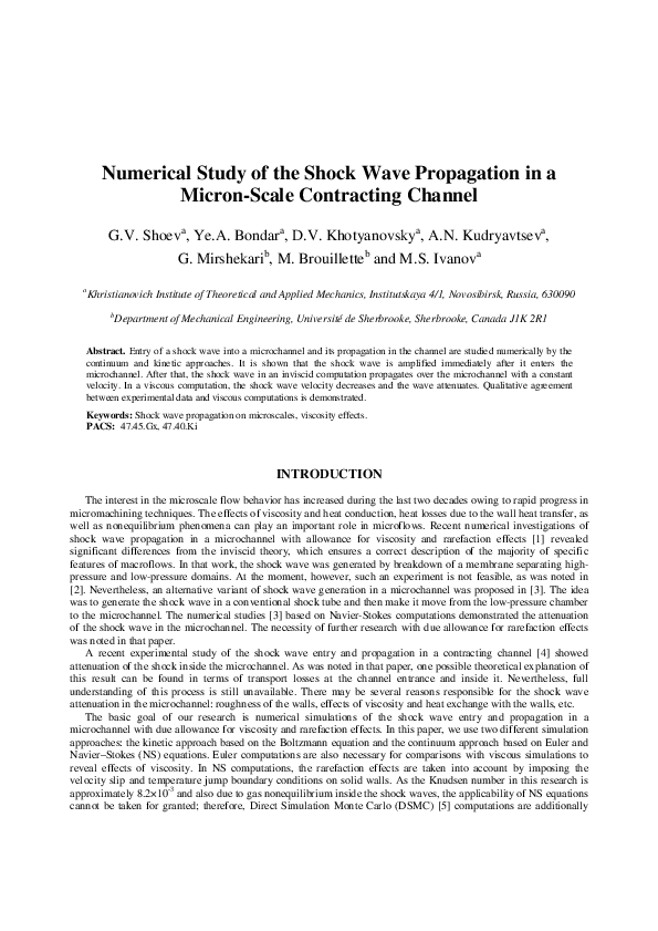 (PDF) Numerical Study of the Shock Wave Propagation in a Micron-Scale ...