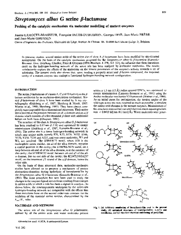 (PDF) Streptomyces albus G serine betalactamase. Probing of the