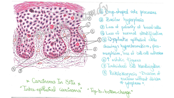 (PDF) My Practical Illustrations1