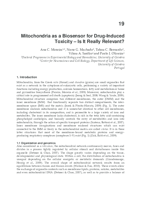 (PDF) Mitochondria as a Biosensor for Drug-induced Toxicity – Is It ...