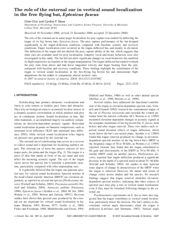 (PDF) The role of the external ear in vertical sound localization in ...