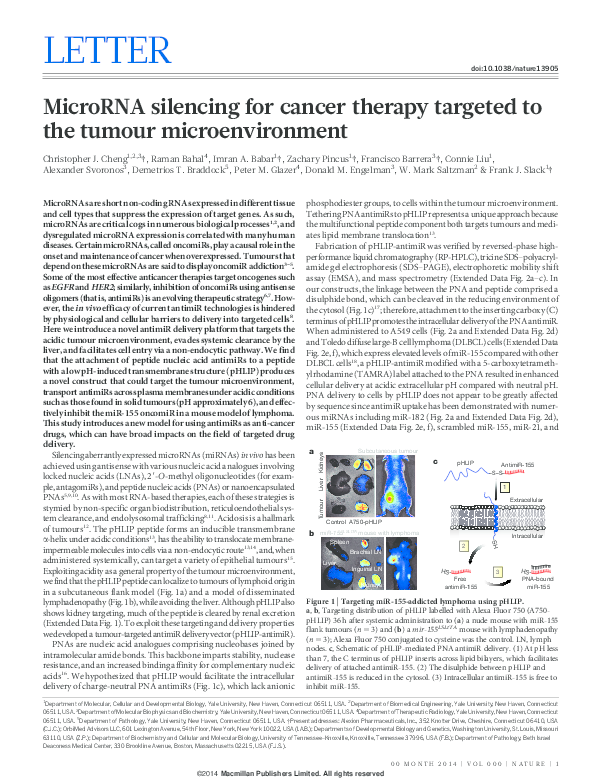 (PDF) MicroRNA silencing for cancer therapy targeted to the tumour ...