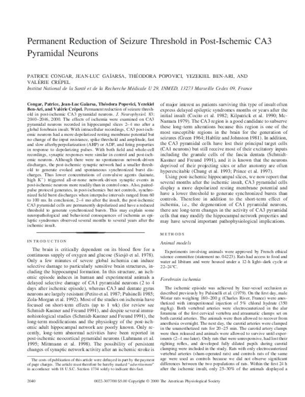 (PDF) Permanent Reduction of Seizure Threshold in Post-Ischemic CA3 ...