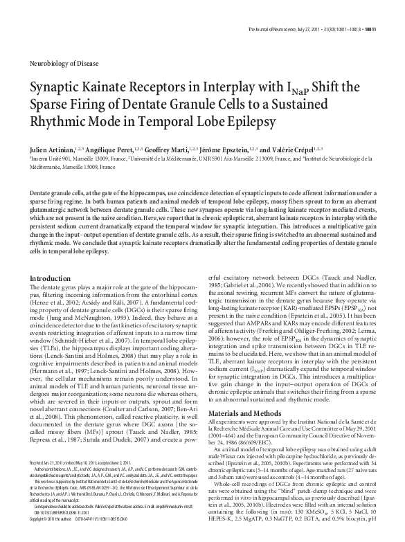 (PDF) Synaptic Kainate Receptors in Interplay with INaP Shift the ...