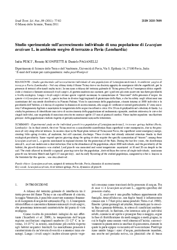 Essay sull ambiente 05 image