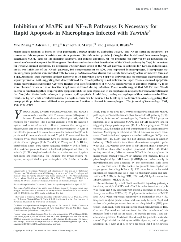 (PDF) Inhibition of MAPK and NF- B Pathways Is Necessary for Rapid ...
