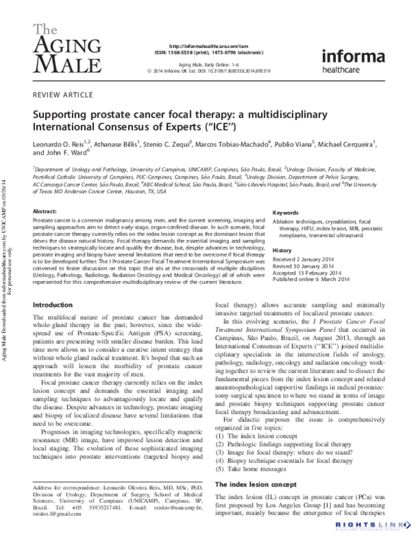 (PDF) Supporting prostate cancer focal therapy: a multidisciplinary ...