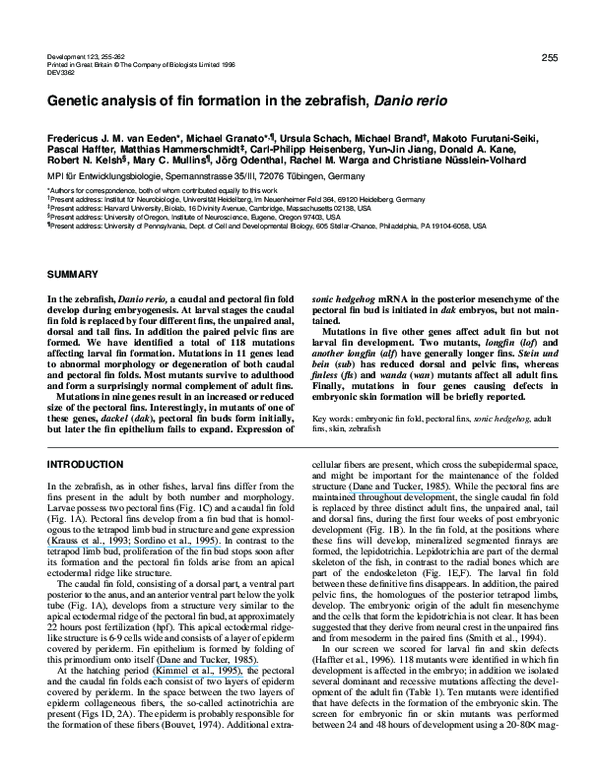(PDF) Genetic analysis of fin formation in the zebrafish, Danio rerio