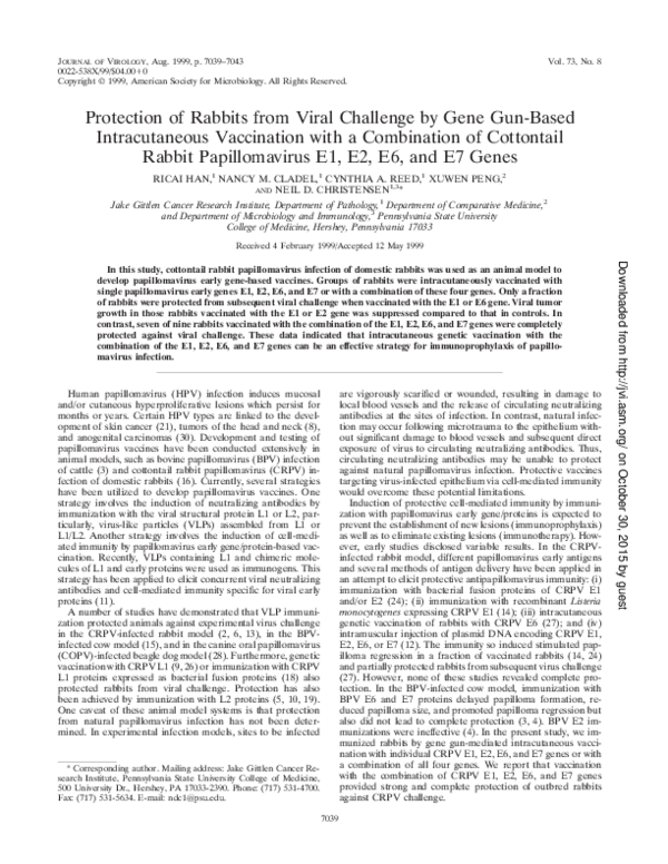 (PDF) Intracutaneous vaccination of rabbits with the cottontail rabbit ...