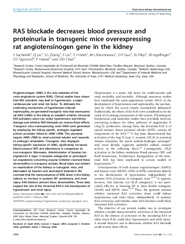 (PDF) RAS blockade decreases blood pressure and proteinuria in