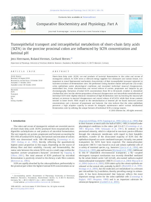 (PDF) Transepithelial transport and intraepithelial metabolism of short ...
