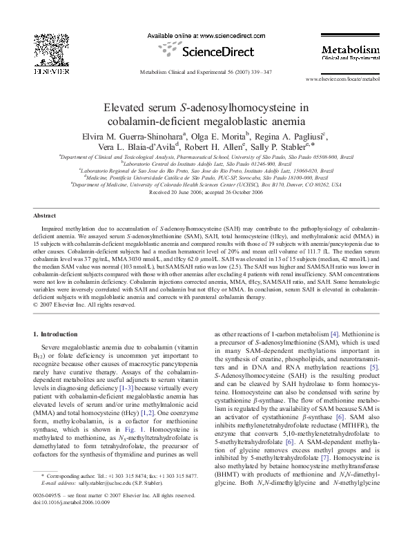Megaloblastic anemia pdf picture