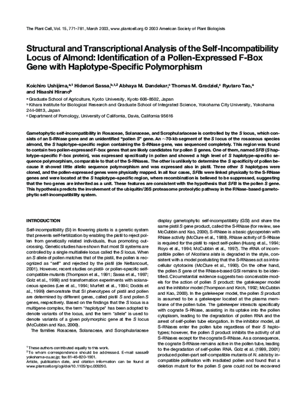 (PDF) Structural and Transcriptional Analysis of the Self ...
