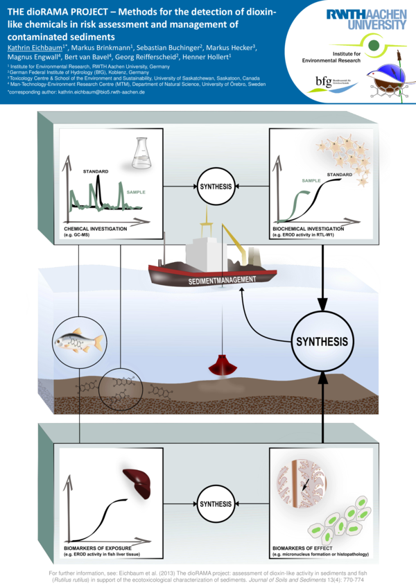(PDF) The dioRAMA joint project – Methods for the detection of dioxin ...