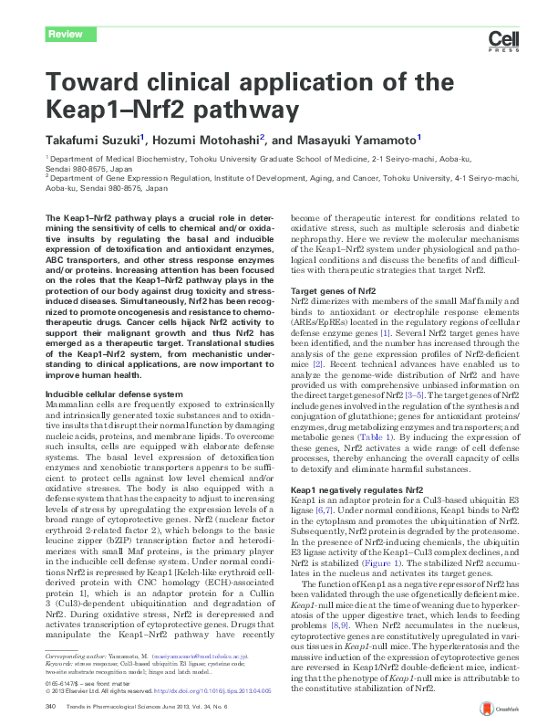 (PDF) Toward clinical application of the Keap1–Nrf2 pathway