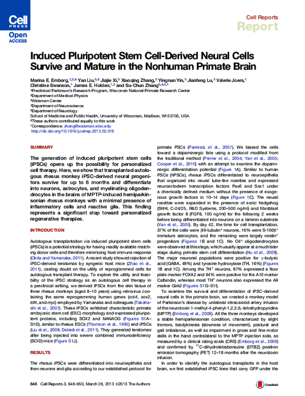 (PDF) Induced pluripotent stem cell-derived neural cells survive and ...