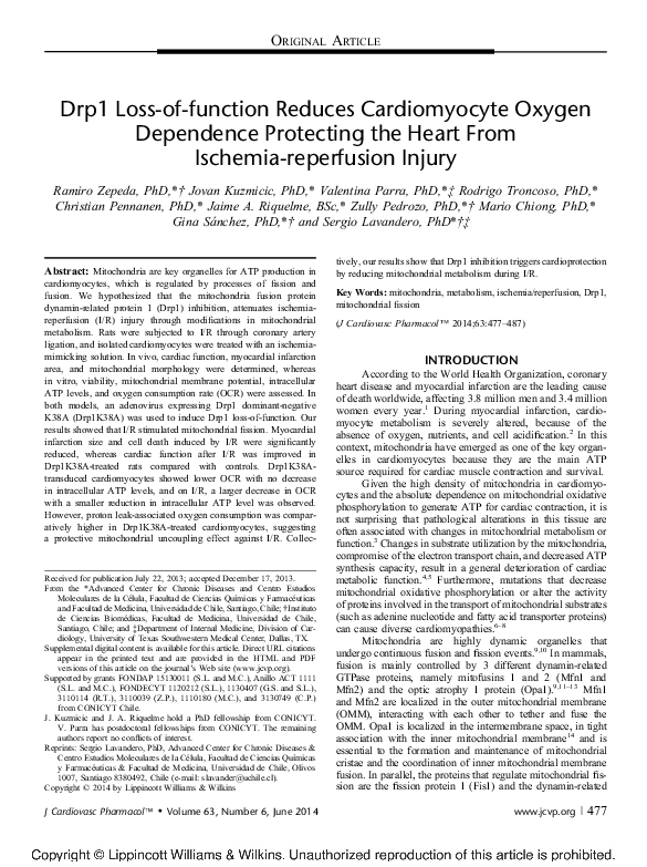 (PDF) Drp1 Inhibition Reduces Mitochondrial Metabolism and Injury